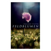 Feldblumen