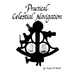 Practical Celestial Navigation