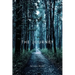 The Journey