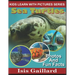 Sea Turtles: Photos and Fun Facts for Kids