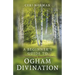 A Beginner's Guide to Ogham Divination