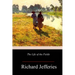 The Life of the Fields