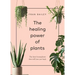 The Healing Power of Plants: The Hero Houseplants That Will Love You Back