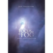 Focus in the Fog: Beams of Light from the Book of Job