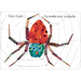 La Arana Muy Ocupada = Very Busy Spider