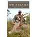 Bowhunting Public Land Whitetails