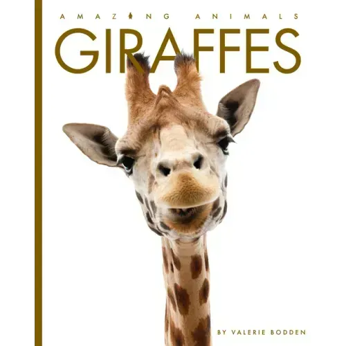 Giraffes