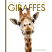 Giraffes