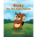 Blinky the One-Eyed Squirrel
