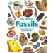 My Book of Fossils: A Fact-Filled Guide to Prehistoric Life