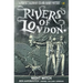Rivers of London Vol. 2: Night Witch (Graphic Novel)