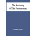 The Anatomy Of The Peritonæum
