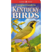 Compact Guide to Kentucky Birds