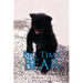 Big Time Bear
