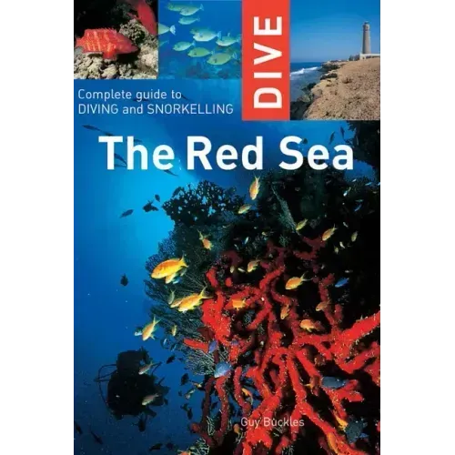 Dive the Red Sea: Complete Guide to Diving and Snorkeling