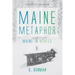 Maine Metaphor: Maine in Winter
