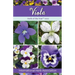 Viola: Herb of the Year(TM) 2022
