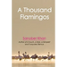 A Thousand Flamingos