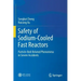 Safety of Sodium-Cooled Fast Reactors: Particle-Bed-Related Phenomena in Severe Accidents