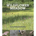 How to Make a Wildflower Meadow: Tried-And-Tested Techniques for New Garden Landscapes