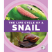 The Life Cycle of a Snail