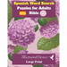 Spanish Word Search Puzzles For Adults: Bible Vol.4 Illustrated Stories Large Print