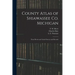 County Atlas of Shiawassee Co. Michigan: From Recent and Actual Surveys and Records