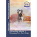 Pets and the Afterlife 3: Messages from Spirit Dogs