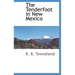 The Tenderfoot in New Mexico