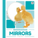 Mirrors