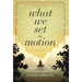 What We Set In Motion