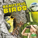 Beautiful Birds