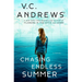 Chasing Endless Summer