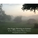 One Foggy Morning in Summer: In the Creasey Mahan Nature Preserve