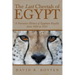 The Last Cheetah of Egypt: A Narrative History of Egyptian Royalty from 1805 to 1953