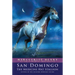 San Domingo: The Medicine Hat Stallion
