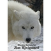 Eleven Novels by Jim Kjelgaard (complete and unabridged) including: The Spell of the White Sturgeon, The Lost Wagon, Trading Jeff and his Dog, Double