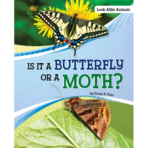 Is It a Butterfly or a Moth?
