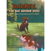 Barney, The Big Brown Dog!: Barney, an orphaned dog looking to find his new family