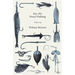 Dry-Fly Trout Fishing