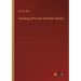 Genealogy of the allen and Witter Families