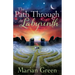 The Path Through the labyrinth