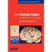The Frontal Lobes