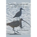 Close Encounters of the Bird Kind: Wild Birds in San Francisco and Other Places