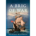 A Brig of War: A Nathaniel Drinkwater Novel