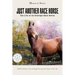 Just Another Race Horse