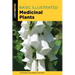 Basic Illustrated Medicinal Plants