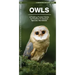 Owls: A Folding Pocket Guide to Familiar Species Worldwide
