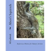 Abert's Squirrels: Reference Photos for Nature Artists