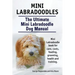 Mini Labradoodles. The Ultimate Mini Labradoodle Dog Manual. Miniature Labradoodle book for care, costs, feeding, grooming, health and training.